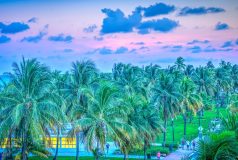 paysage de floride avec des palmiers