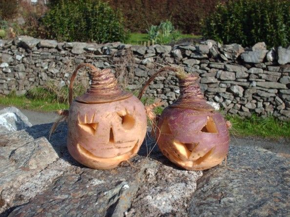 Navets gravés pour Halloween selon la culture Irlandaise